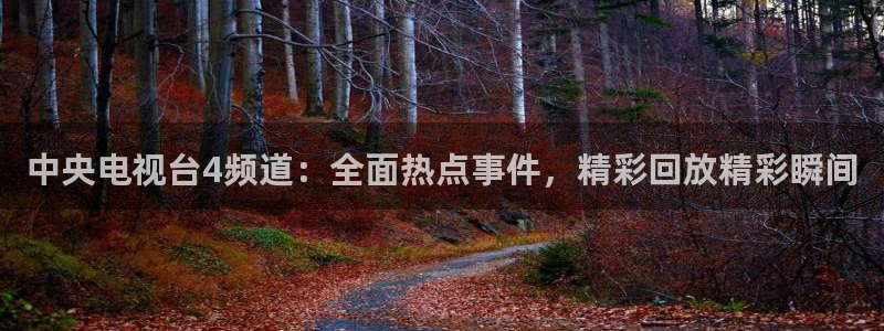 松鼠体育在线直播下载：中央电视台4频道：全面热点事件，精彩回放精彩瞬间