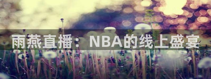 松鼠网官方下载：雨燕直播：NBA的线上盛宴