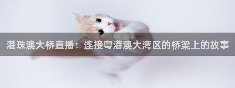 松鼠客户端：港珠澳大桥直播：连接粤港澳大湾区的桥梁上的故事