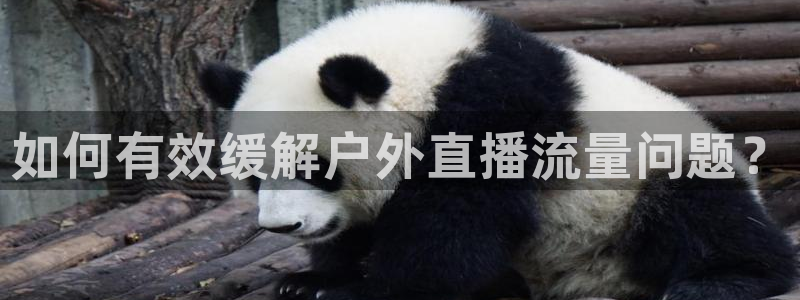 松鼠客户端：如何有效缓解户外直播流量问题？