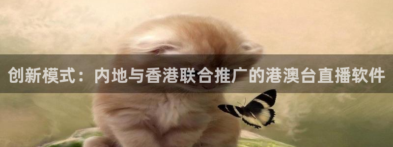下载松鼠电视直播：创新模式：内地与香港联合推广的港澳台直播软件