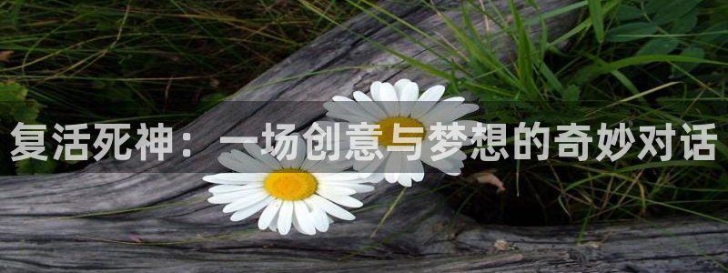 松鼠官方网站：复活死神：一场创意与梦想的奇妙对话
