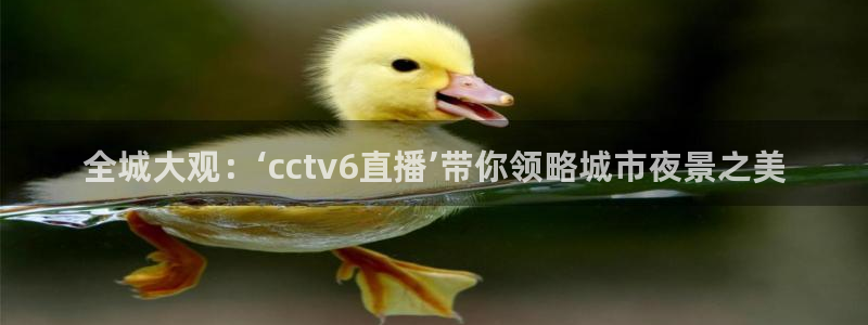 松鼠网官方下载：全城大观：‘cctv6直播’带你领略城市夜景之美