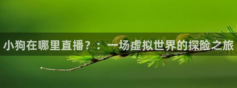 松鼠客户端：小狗在哪里直播？：一场虚拟世界的探险之旅