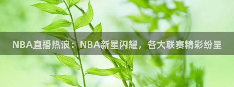 松鼠宝贝体育：NBA直播热浪：NBA新星闪耀，各大联赛精彩纷呈